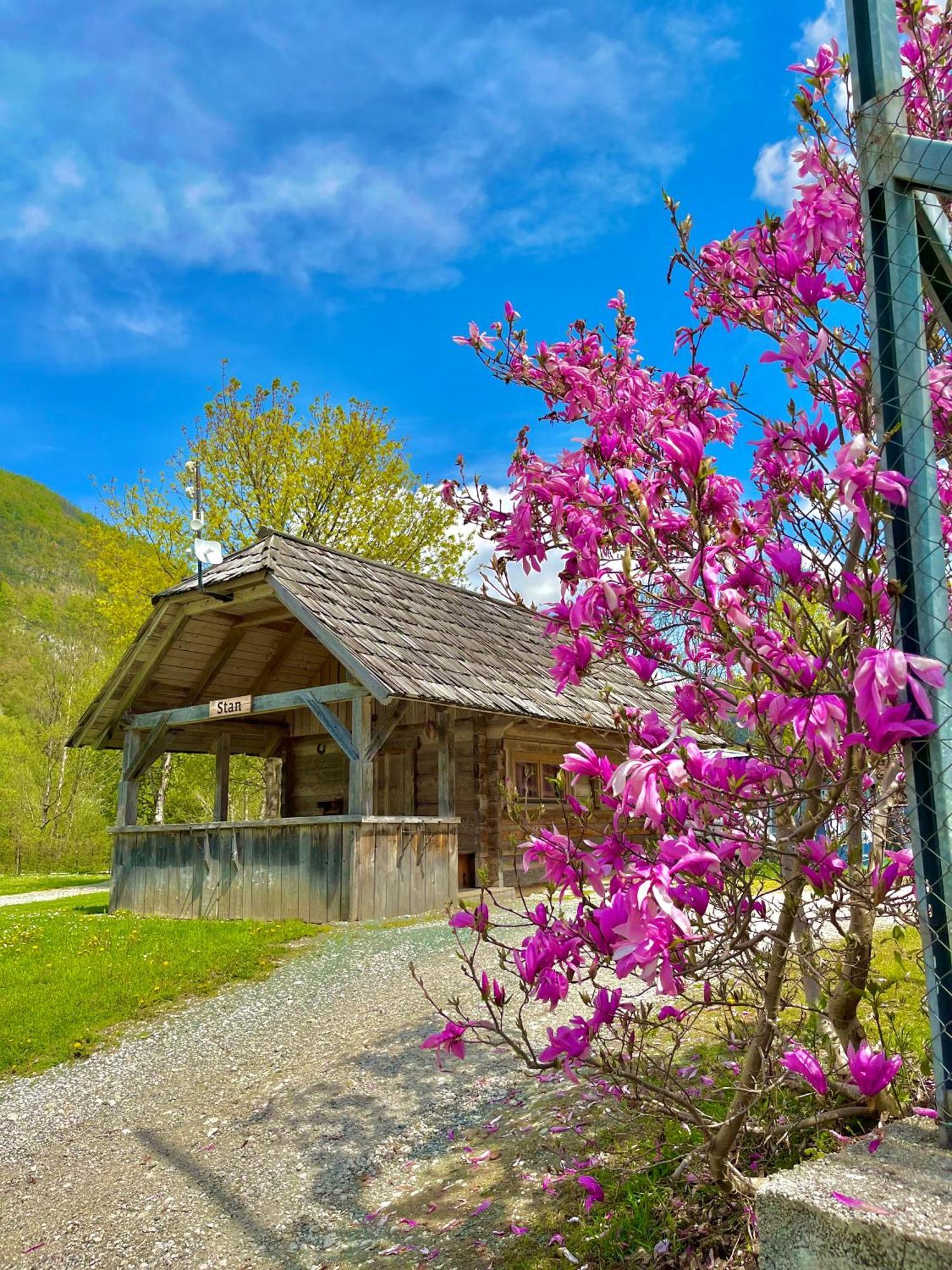 Camping Danica Cottage Stan Bohinj Exterior photo